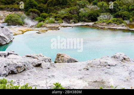 Blue Lake in Te Puia, Rotorua, Neuseeland. Stockfoto