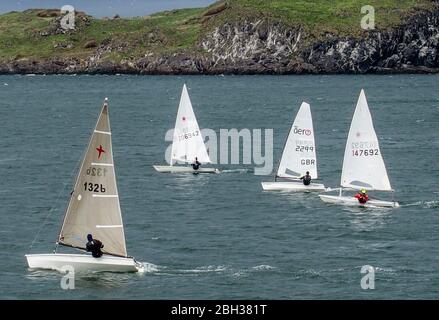 Segeln Dinghy Racing, East Lothian Yacht Club, North Berwick Stockfoto