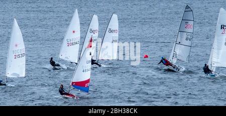 Segeln Dinghy Racing, East Lothian Yacht Club, North Berwick Stockfoto