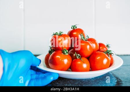 Hand hält einen Teller mit Tomaten mit blauen Latexhandschuhen in der Küche Marmor. Desinfektion der Früchte, um die Ausbreitung des Coronavirus zu verhindern. Stockfoto
