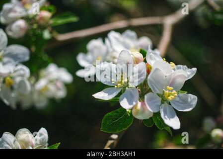 April Stockfoto