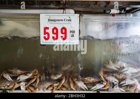 Live-Krabbe zum Verkauf in einem Fischbecken auf einem Lebensmittelmarkt Stockfoto