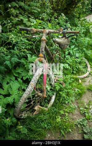 Verlassene gebrochene alte Mountainbike mit Laub überwuchert. Stockfoto