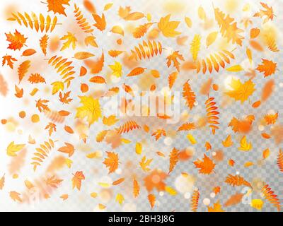 Effekt der Herbst fallenden Blätter Schicht mit flachen DOF Unschärfe. Herbstliche Laub Herbst Vorlage. Warme Farbe. EPS 10 Stock Vektor