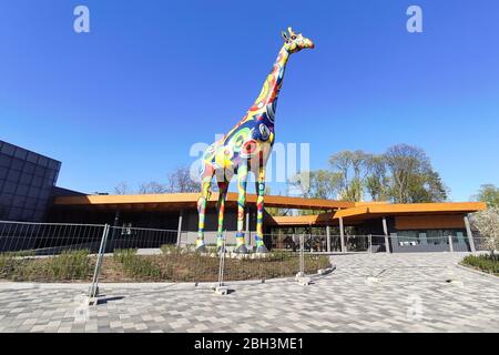 KIEW, UKRAINE - 22. APRIL 2020: Rekonstruktion des Kiewer Zoos mit einer neuen Giraffenstatue (Foto: Aleksandr Gusev/Pacific Press) Stockfoto