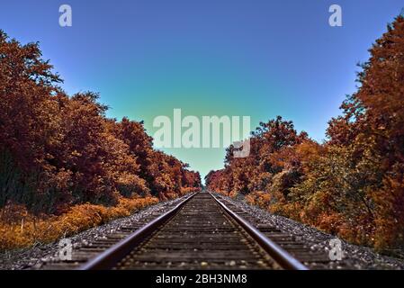 Eisenbahnstrecke zwischen Bäumen fallen Laub säumen Infrastruktur zerbröckeln im ländlichen amerika. Zug Transport Linie durch schöne Bäume. Stockfoto