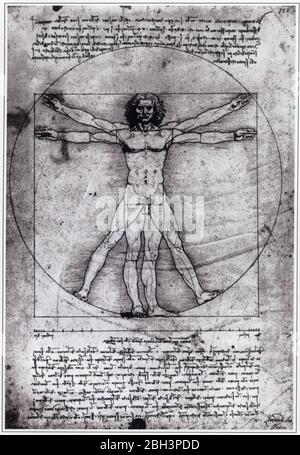 Leonardo da Vinci. Vitruvian Man. 1492. Zeichnung Stockfoto