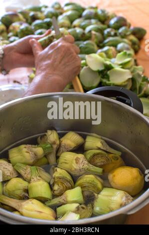 Kochen Artischocken: Hände einer Person Reinigung und Vorbereitung einer Menge von Bio Artischocken zum Kochen. Fügen Sie Zitrone zu Artischocken, um Bräunungsvorgang zu vermeiden Stockfoto