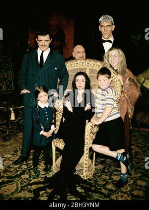 Carolyn Jones, John Astin und Besetzung von 'The Addams Family' um 1964 Aktenzeichen # 33962-608THA Stockfoto