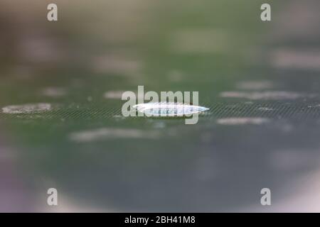 Schöne blaue Wirkung von Licht auf Wassertropfen auf einem Polycarbonat-Tisch im Garten Stockfoto