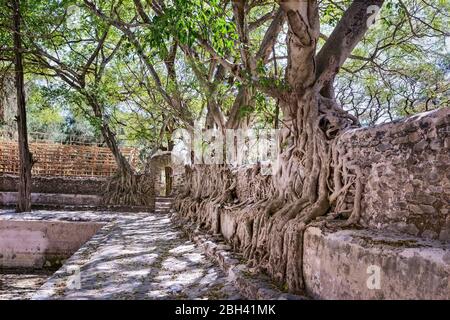 Blick auf das Innere der historischen Fasilides Bäder in Gondar, Äthiopien. Stockfoto