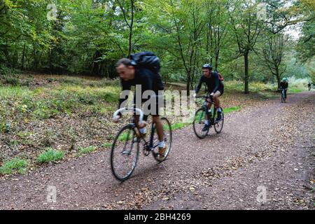 Fahrradfahrer in Epping Forest, Essex, England, Vereinigtes Königreich Großbritannien und Nordirland Stockfoto