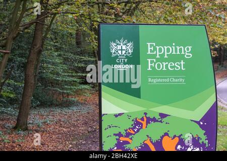 Anmelden Epping Forest, Essex, England, Vereinigtes Königreich Großbritannien Stockfoto