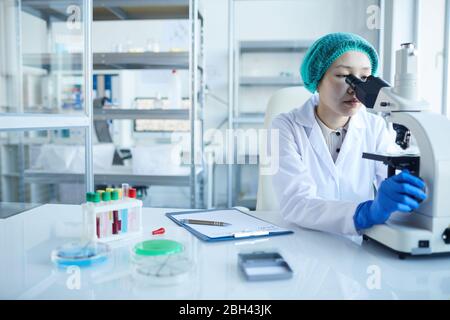 Ärztin, die durch das Mikroskop schaut und die Analyse im Labor untersucht Stockfoto