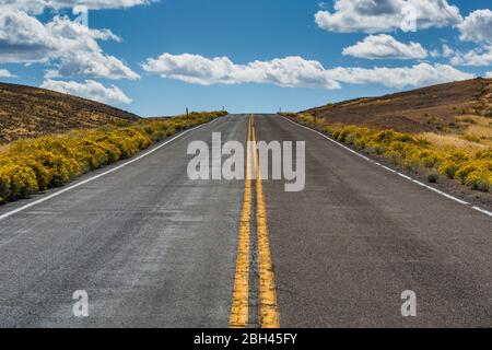 Einsame Straße zum Berlin-Ichthyosaur State Park, Nevada, USA Stockfoto