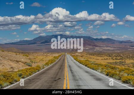 Einsame Straße zum Berlin-Ichthyosaur State Park, Nevada, USA Stockfoto