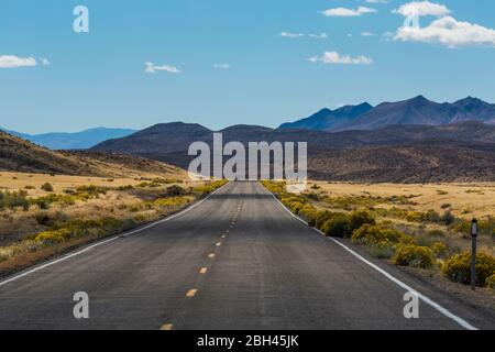 Einsame Straße zum Berlin-Ichthyosaur State Park, Nevada, USA Stockfoto