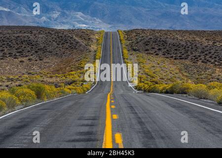 Einsame Straße zum Berlin-Ichthyosaur State Park, Nevada, USA Stockfoto