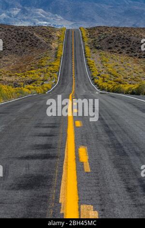 Einsame Straße zum Berlin-Ichthyosaur State Park, Nevada, USA Stockfoto