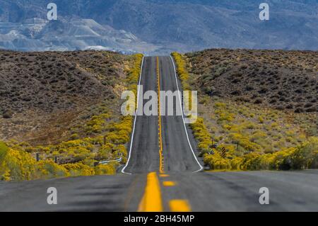 Einsame Straße zum Berlin-Ichthyosaur State Park, Nevada, USA Stockfoto