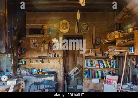 Stagecoach-Stop-Interior in der alten Silber- und Goldbergbau-Geisterstadt Berlin im Berlin-Ichthyosaur State Park, Nevada, USA Stockfoto