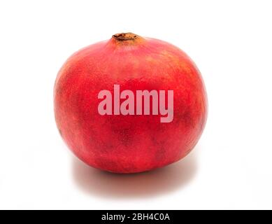 Ganzer frischer Granatapfel auf weißem Hintergrund. Stockfoto