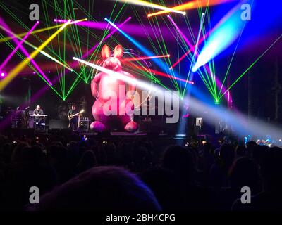 Farbenfrohe Laserlicht-Show und großes aufblasbares Känguru sind Teil der Performance der australischen Pink Floyd Coverband Show in Los Angeles, CA Stockfoto