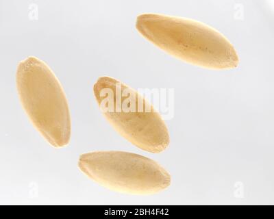 Nahaufnahme von Cucumber Seeds – Cucumis Sativus (F1 Merlin) auf EINEM weißen Hintergrund, England Stockfoto