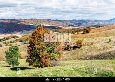 Herbst rote Ahornbäume und Berge in Farm auf sanften Hügeln Landschaftsansicht in Monterey und Blue Grass, Highland County, Virginia Stockfoto