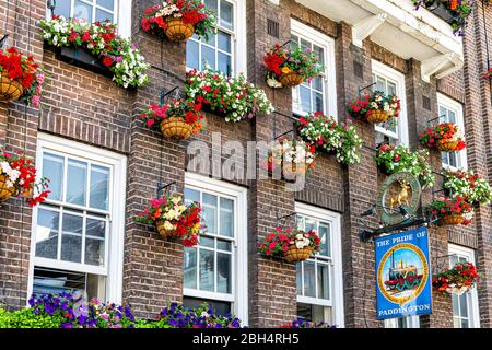 London, UK - 22. Juni 2018: Kensington Nachbarschaft und Blumenkorb-Box Bunte Dekorationen am Sommertag mit Backsteinarchitektur und Schild für Stolz Stockfoto