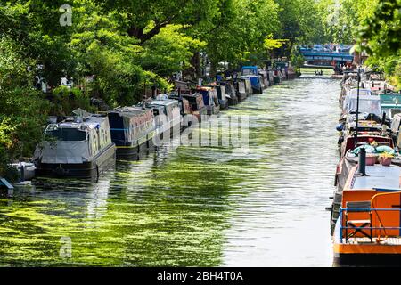 London, UK - 24. Juni 2018: Little Venice Nachbarschaft und Hausboote in Kanalbooten Schiffe mit verschmutztem Seenwasser während des sonnigen Sommertages Stockfoto