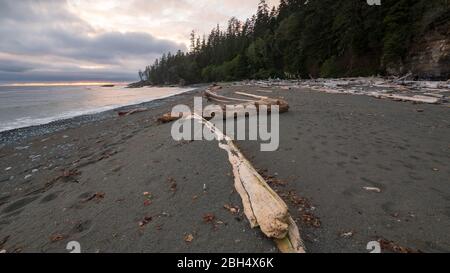 Baumstämme am Strand entlang des West Coast Trail von Vancouver Island, British Columbia, Kanada. Stockfoto