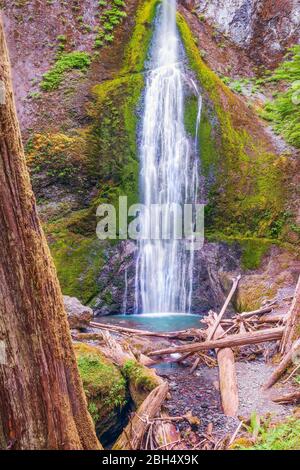 Blick auf die Marymere Falls in der Nähe des Lake Crescent im Olympic National Park. Washington. USA Stockfoto