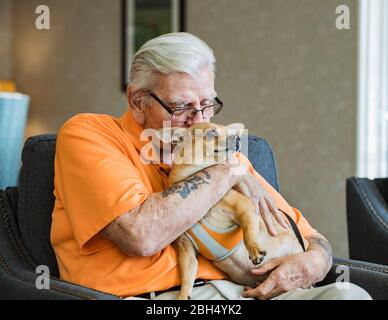 Senior woman Holding Hund Stockfoto