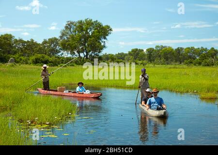 Touristen werden in Mokoros (Dugout Kanus), Okavango Delta, Botswana, Afrika gepoled Stockfoto