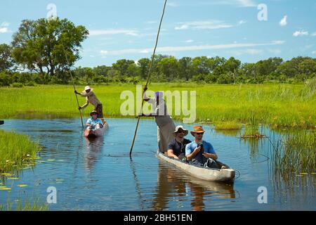 Touristen werden in Mokoros (Dugout Kanus), Okavango Delta, Botswana, Afrika gepoled Stockfoto