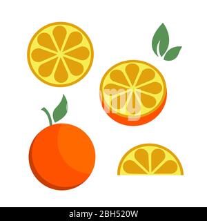 Orange Zitrusfrüchte Teile Set halbe Frucht Symbol helle Kunst Vektor Stock Vektor