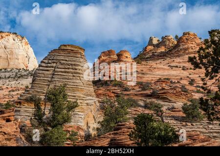 Cliff im Zion National Park in Utah, USA Stockfoto