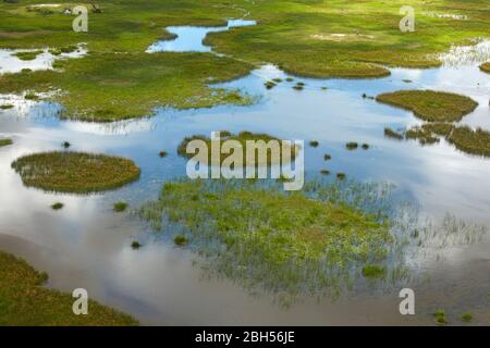 Okavango Delta, Botswana, Afrika-Antenne Stockfoto