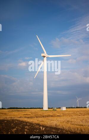 Windturbinenenergie-Propeller in einem Weizenfeld (Windkraft-Generator oder Windmühle) vor blauem Himmel, der saubere Energie in einem Windpark erzeugt. Stockfoto