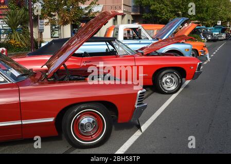 Restaurierte antike, klassische und benutzerdefinierte Sammlerautos säumen die Goldstream Avenue in Langford, British Columbia, Kanada auf Vancouver Island während der jährlichen Stockfoto