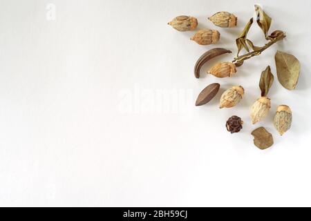 Herbstkomposition. Rahmen aus Blättern auf pastellgrauem Hintergrund. Herbst, Herbst Konzept. Flaches Layout, Draufsicht, Kopierbereich Stockfoto