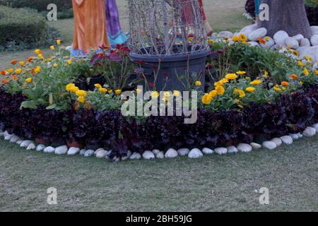 Schöner Blumengarten mit runden Hecken & symmetrischem Typdesign, Ziergarten mit Winterblumen, alles mit europäischem Flair & Tradition gestaltet Stockfoto