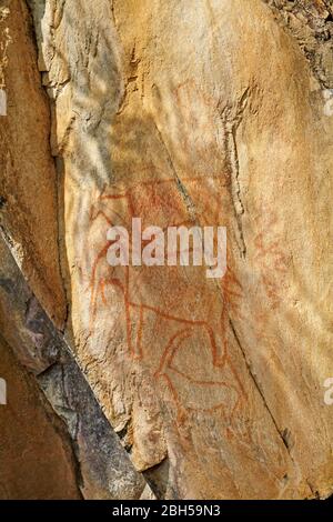 Historische Felsmalereien, Bushman Painting Hill, Savuti Region, Chobe National Park, Botswana, Afrika Stockfoto