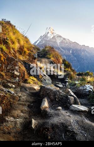 Schöne Landschaft des Himalaya Mountain Fishtail Matschaputschare bei Sonnenaufgang, Nepal Stockfoto