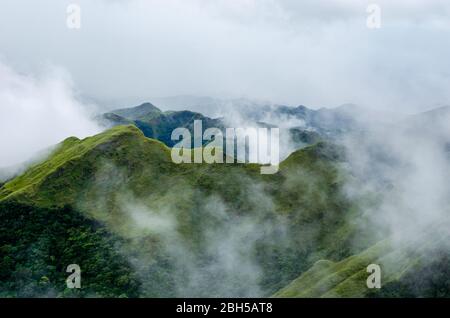 Gebirge bedeckt mit Nebel in Panama Stockfoto