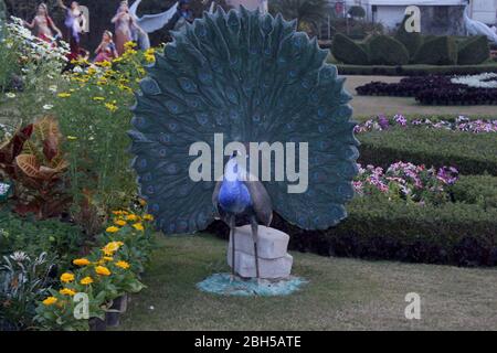 Schöner Blumengarten mit runden Hecken & symmetrischen Typ Design und Pfau, Ziergarten mit Winterblumen, alle mit europäischen flai entworfen Stockfoto