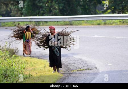 Bauern, die im ländlichen Äthiopien Holz auf dem Rücken tragen. Stockfoto