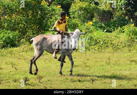 Ein äthiopischer Junge, der in der Region Kaffa in Äthiopien auf seinem Pferd reitet. Stockfoto