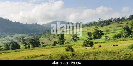 Landwirtschaftliche Landschaften im Südwesten Äthiopiens. Stockfoto